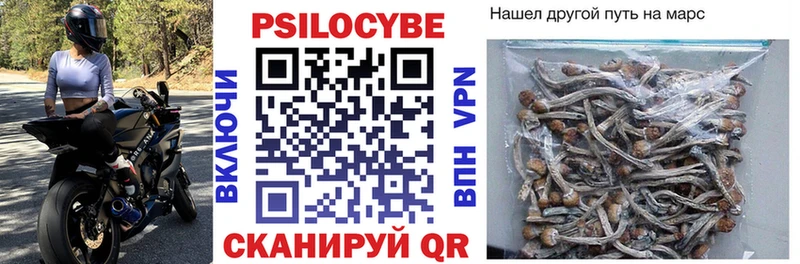 shop как зайти  KRAKEN рабочий сайт  Свирск  Псилоцибиновые грибы прущие грибы 
